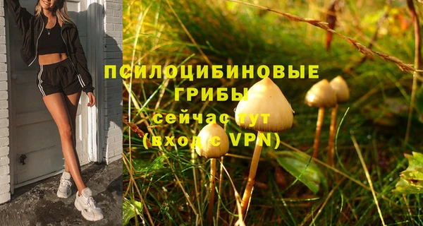 дживик Кулебаки