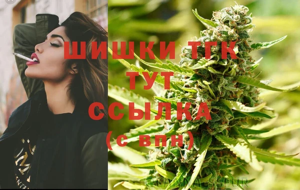 дживик Кулебаки