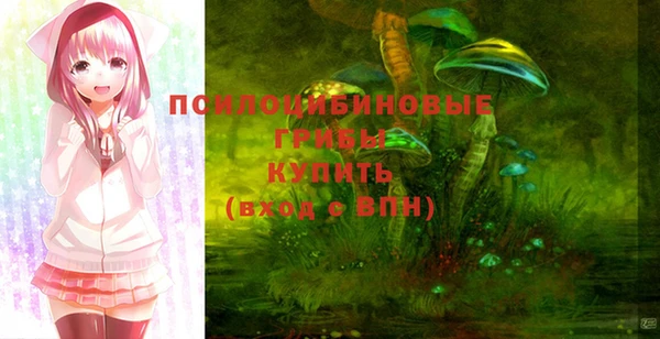 дживик Кулебаки