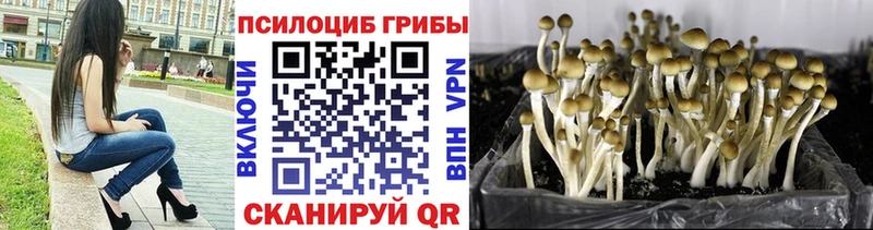 Галлюциногенные грибы Cubensis  Усть-Катав 